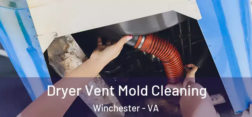  Dryer Vent Mold Cleaning Winchester - VA