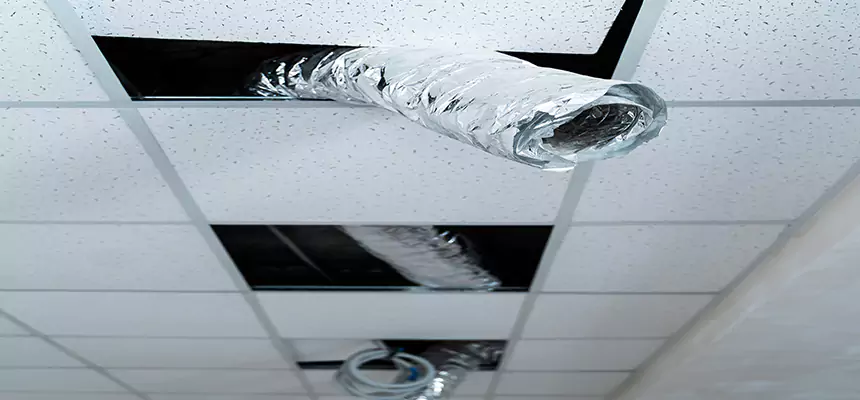 Our Air Duct Pet Hair Removal Services in Winchester, VA