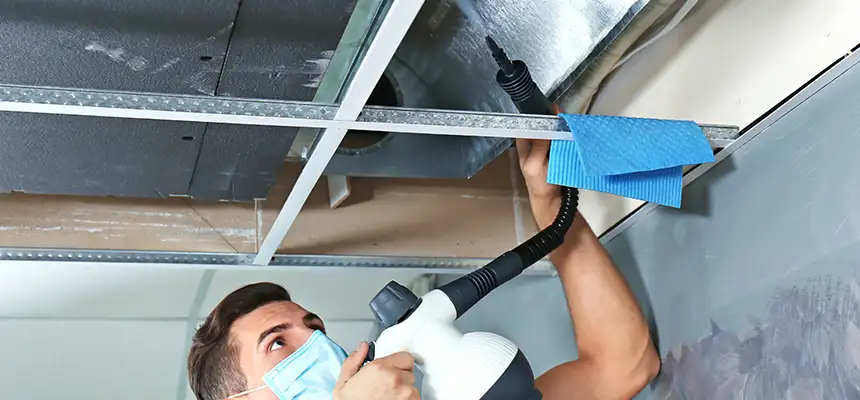 Our Air Duct Rodent Removal Services in Winchester, VA