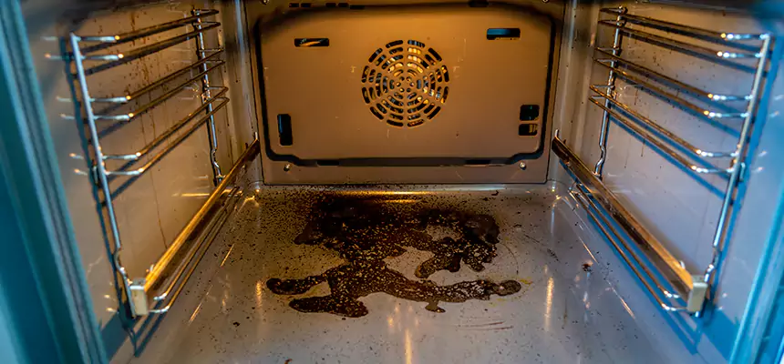 Our Dryer Vent Mold Cleaning Services in Winchester, VA