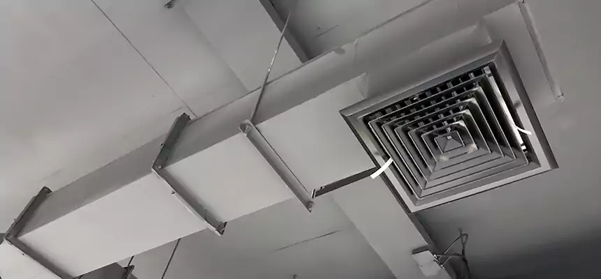 Our Rodent Droppings In Vents Services in Winchester, VA