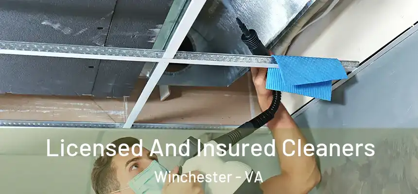 Licensed And Insured Cleaners Winchester - VA