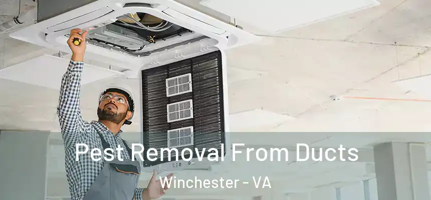  Pest Removal From Ducts Winchester - VA