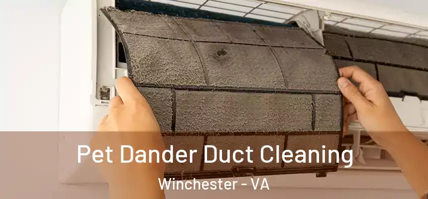 Pet Dander Duct Cleaning Winchester - VA