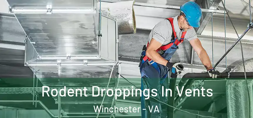 Rodent Droppings In Vents Winchester - VA