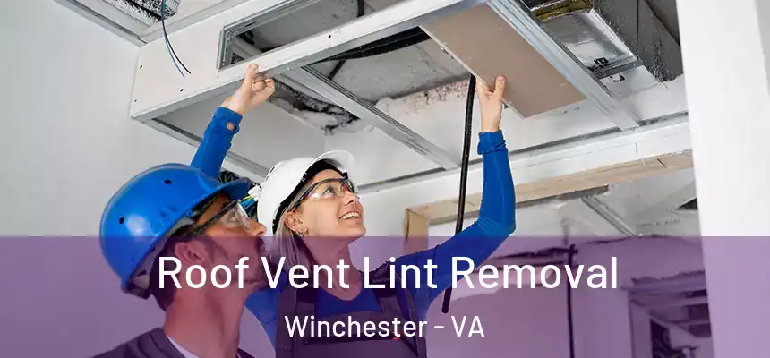 Roof Vent Lint Removal Winchester - VA