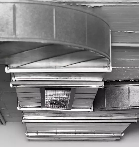 Professional Air Duct Pest Removal in Winchester, VA