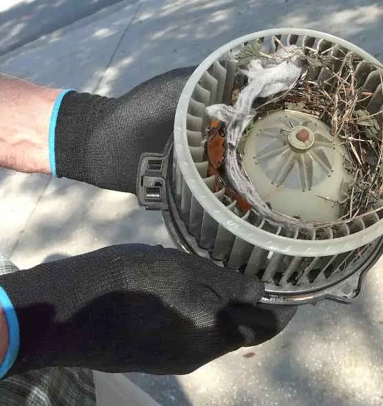 About Air Duct Rat Removal in Winchester, VA