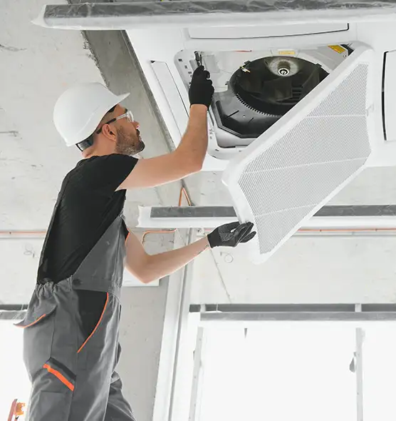 About Air Duct Rodent Removal in Winchester, VA