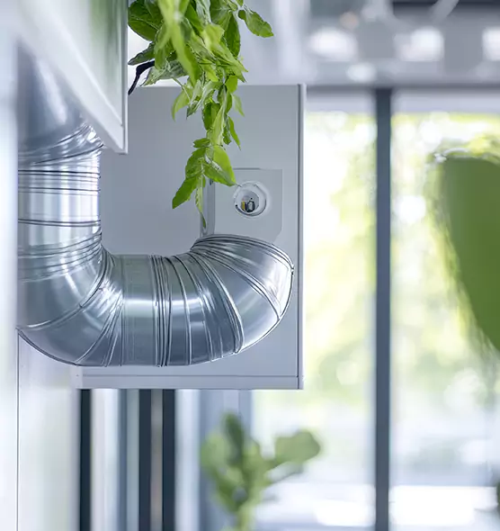 Professional Eco-Safe Dryer Vent Cleaning in Winchester, VA