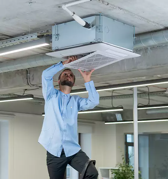 Advanced Rodent Droppings In Vents in Winchester, VA