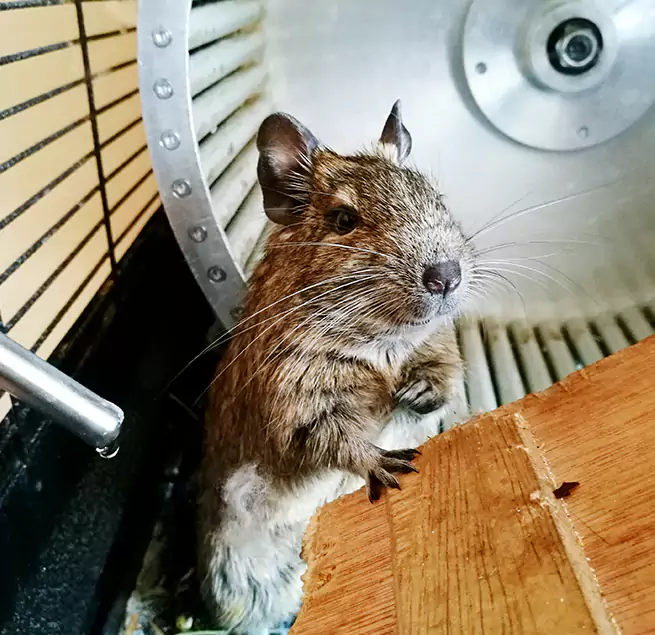 Why Homeowners & Businesses Trust Us Winchester, VA?