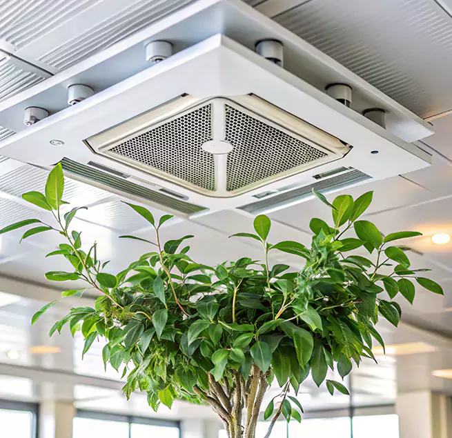 Why Homeowners & Businesses Trust Us in Winchester, VA